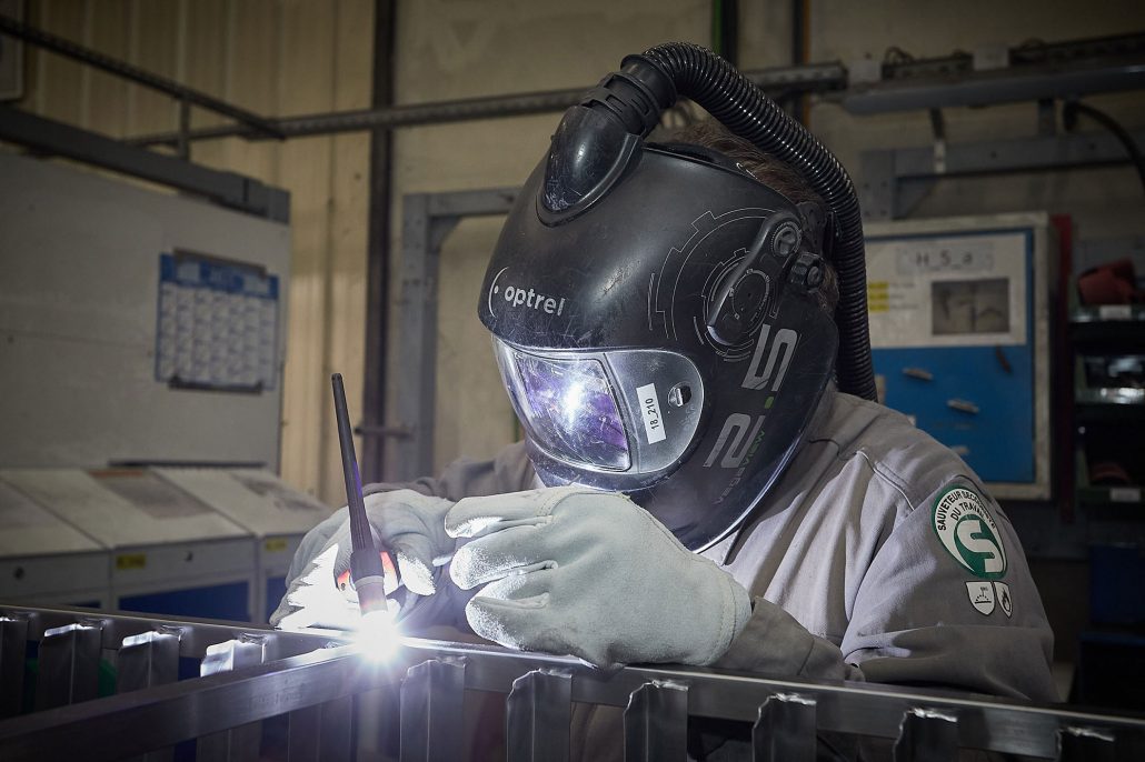 Illustration of seashells