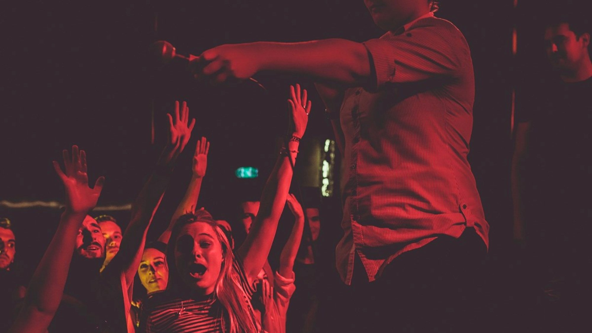 Illustration of seashells